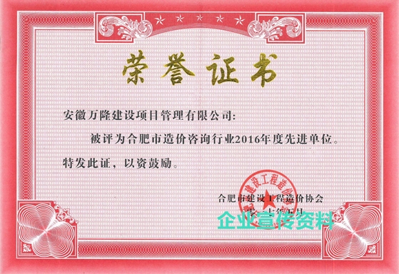 合肥市建設工程造價協(xié)會先進單位